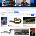 آموزش آنلاین